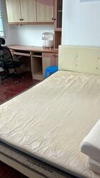 Blk 448 Hougang Avenue 10 (Hougang), HDB 4 Rooms #479834381